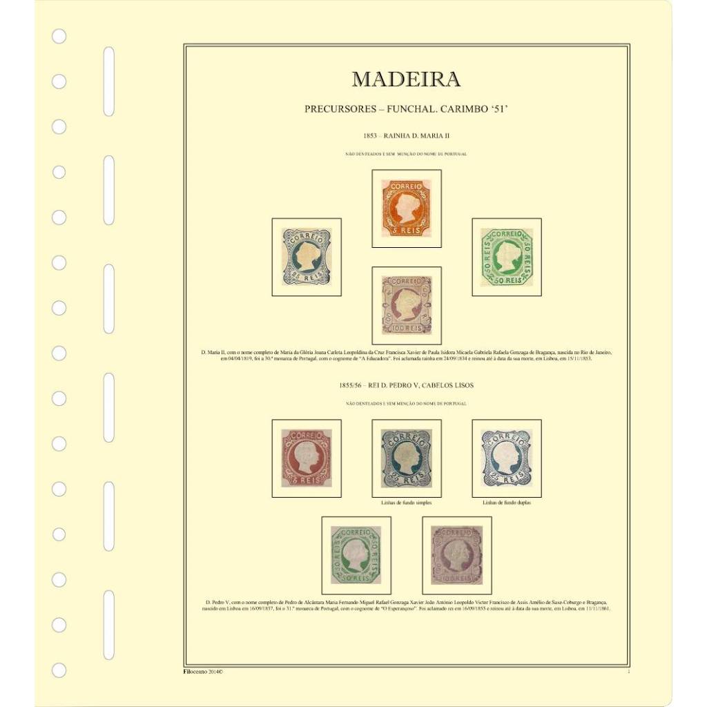 CONJUNTO DE FOLHAS DA MADEIRA (PRECURSORES), VERSÃO COM TIRAS PROTETORAS