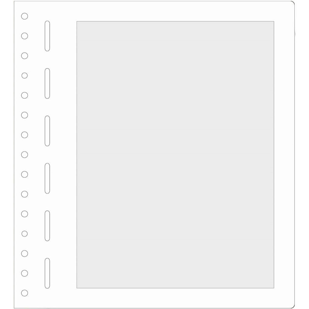 CONJUNTO DE 50 FOLHAS DE CARTOLINA COM FUNDO QUADRICULADO